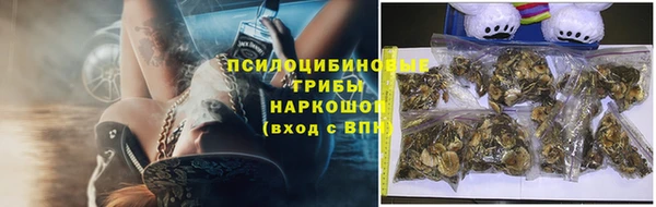 spice Арсеньев